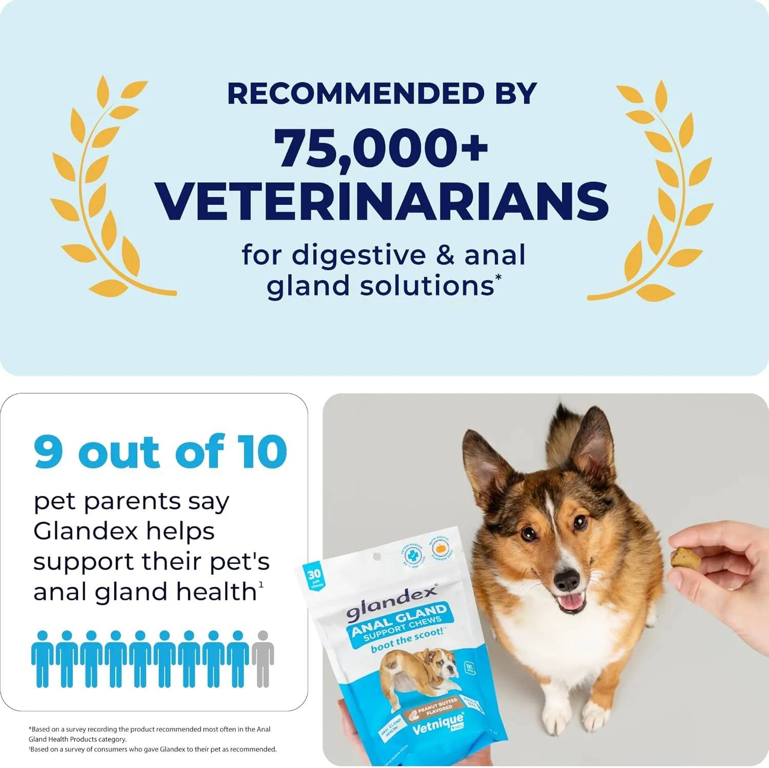 Vetnique Labs Glandex Anal Gland Soft Chew Treats with Pumpkin for Dogs Digestive Enzymes, Probiotics Fiber Supplement for Dogs Boot The Scoot (Peanut Butter Chews, 60 Count)