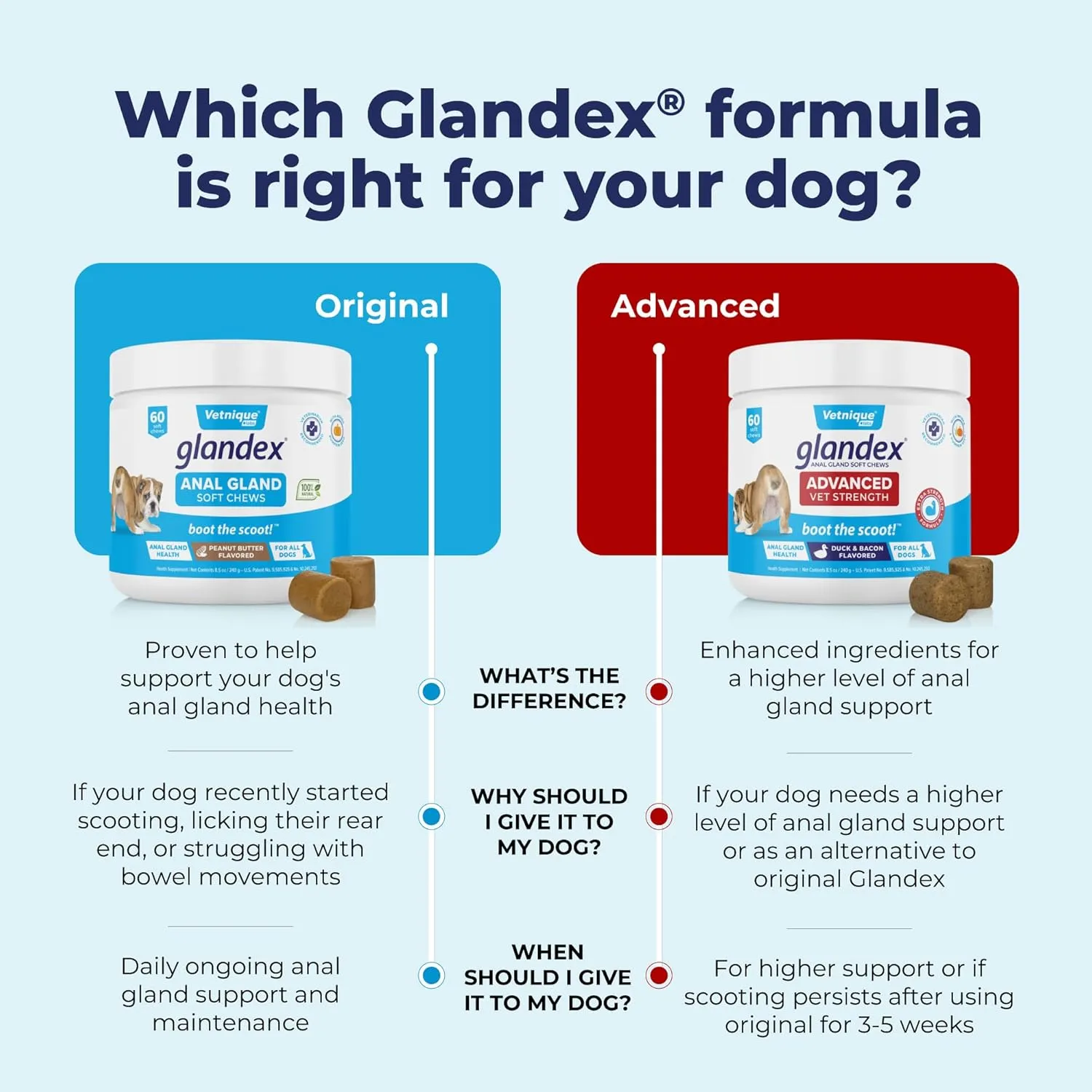 Vetnique Labs Glandex Anal Gland Soft Chew Treats with Pumpkin for Dogs Digestive Enzymes, Probiotics Fiber Supplement for Dogs Boot The Scoot (Peanut Butter Chews, 60 Count)