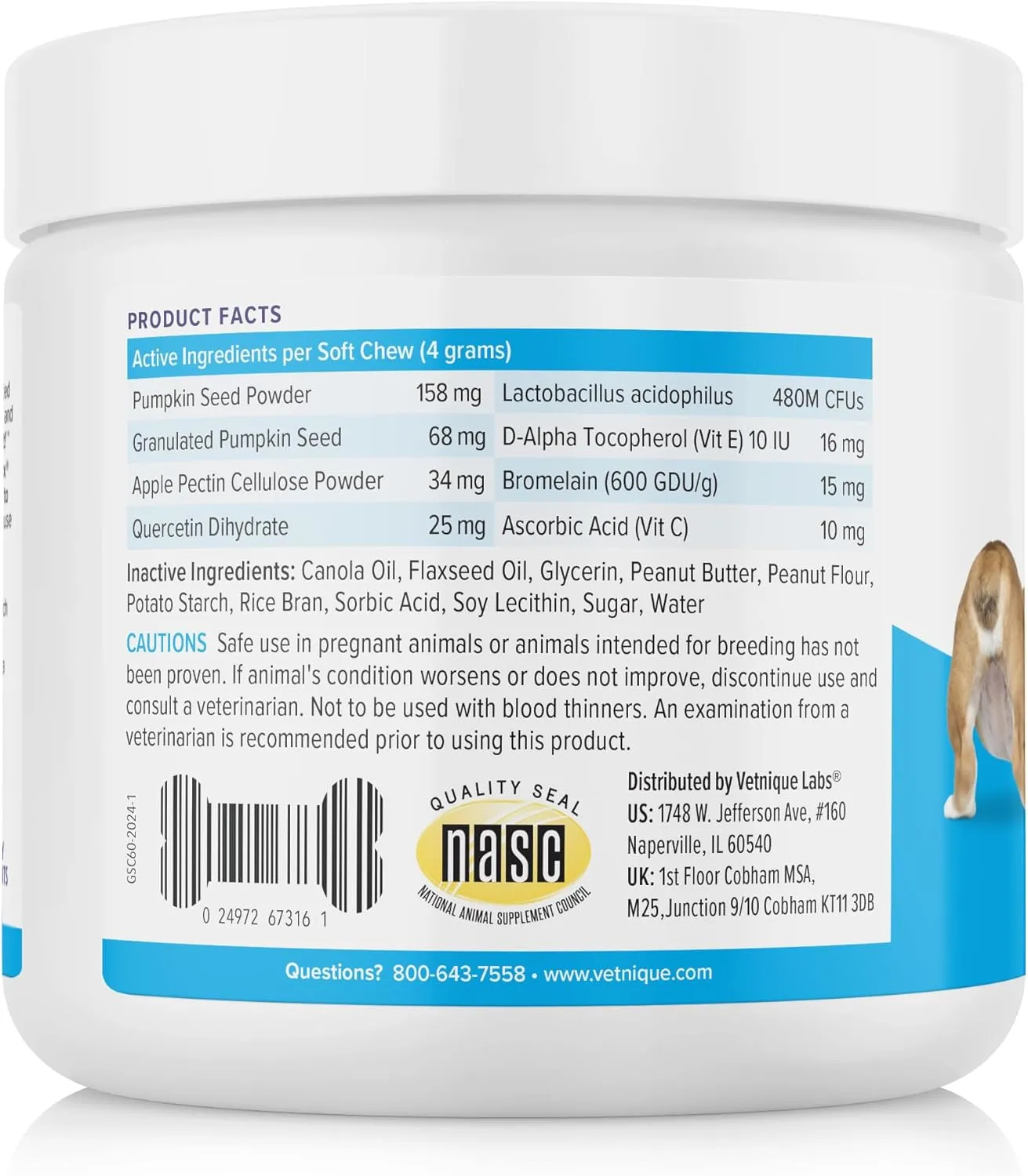 Vetnique Labs Glandex Anal Gland Soft Chew Treats with Pumpkin for Dogs Digestive Enzymes, Probiotics Fiber Supplement for Dogs Boot The Scoot (Peanut Butter Chews, 60 Count)
